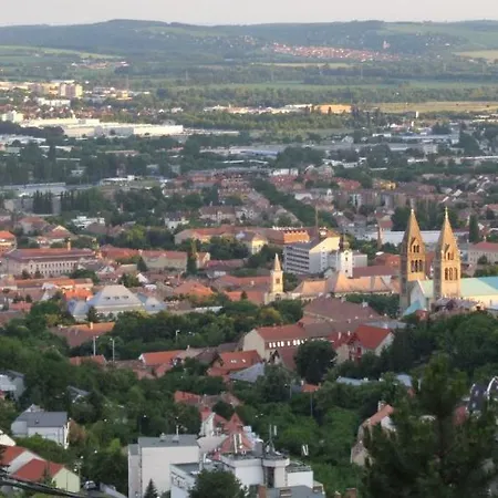 Fenyves Panorama 3* Πετς